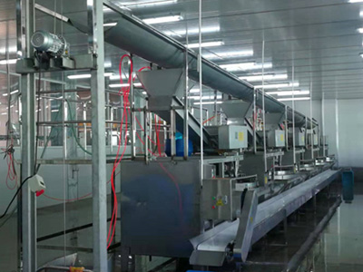 操作全自動面筋機如何防范引發(fā)的食品風險？